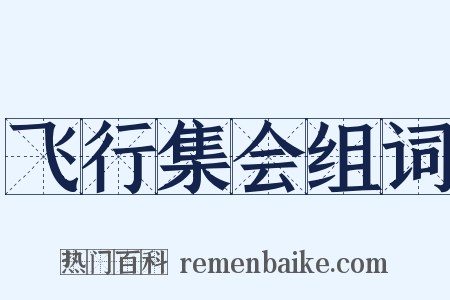 飞行集会组词是什么意思的图片